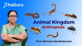 Nirmala_Nandhakumar