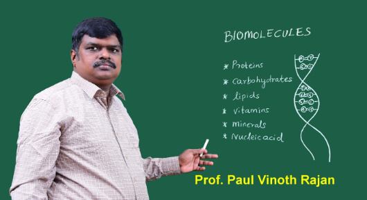 mlp12Bio